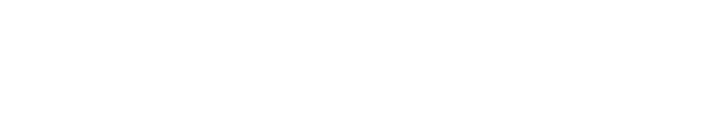 Smart Solutions Logo